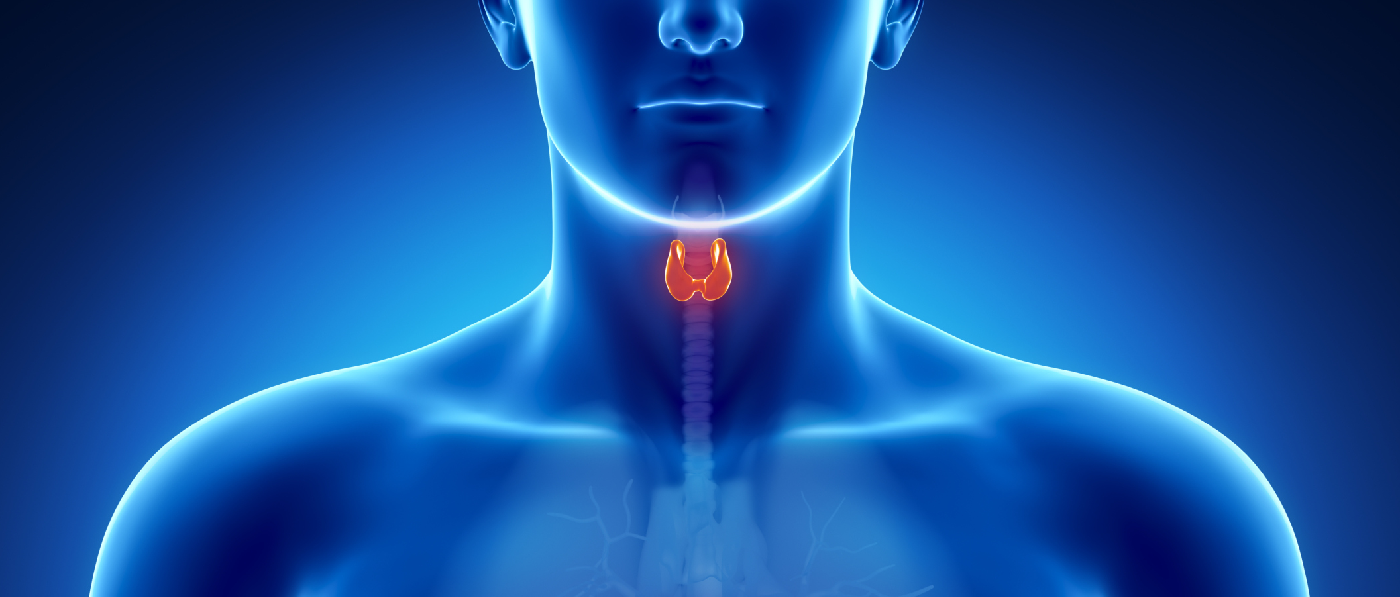 THYROID SUPPORT – COMPLETE FORMULA